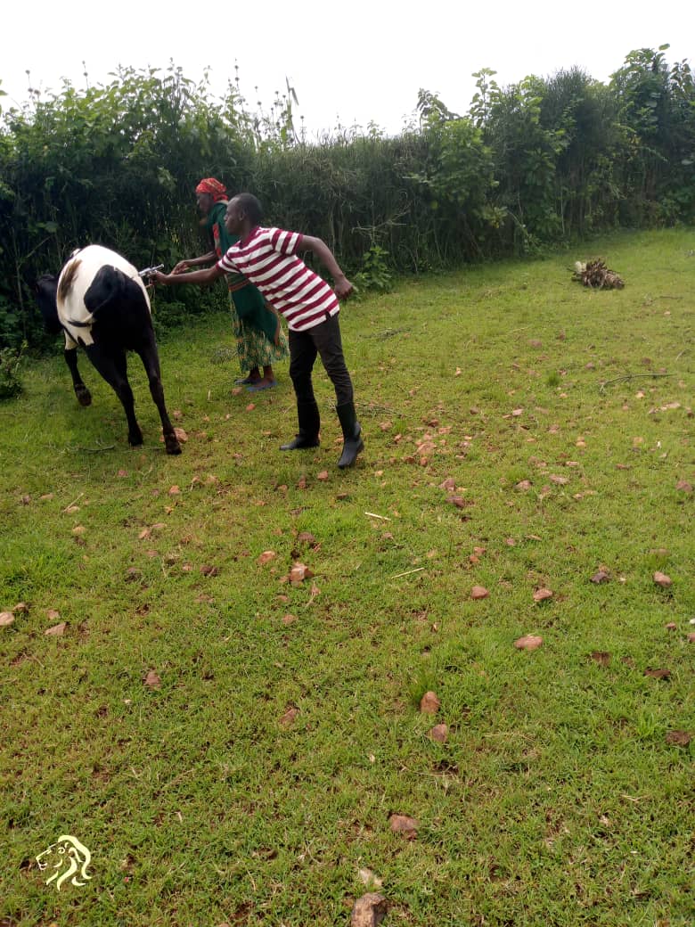 MUSHERI SECTOR tweet media