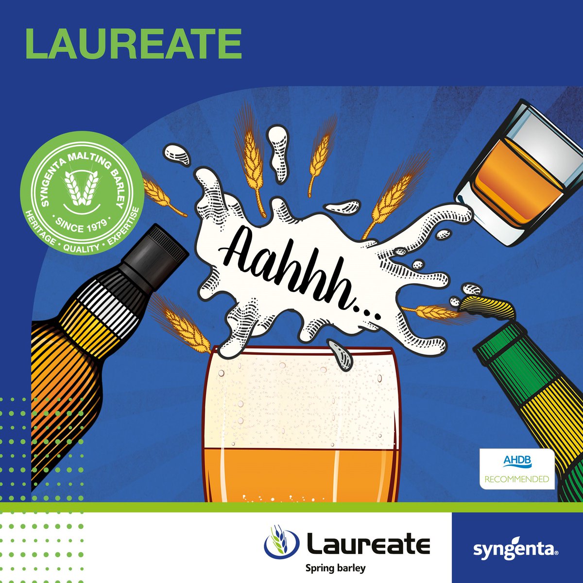 SyngentaUK's tweet image. Why grow #LAUREATE? Since joining the AHDB RL in 2016, the UK's no.1  #springbarley has continued to yield competitively and consistently each year, competing favourably with newer varieties! 💪 Are you planning to drill it this spring? 🥇