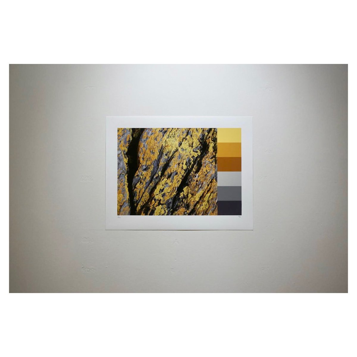 Opening TOMORROW 
Grounding in Colour at ISLAND Arts Centre, Lisburn 13 January - 9 February <a href="/ISLANDartsbiz/">ISLAND Arts Centre</a>