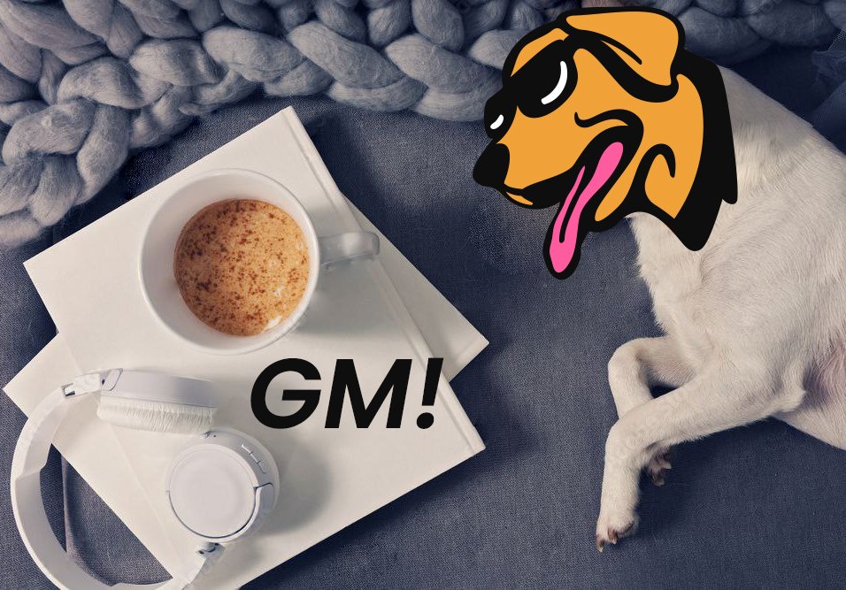 GM $WOOF FAM! #WOOFGANG