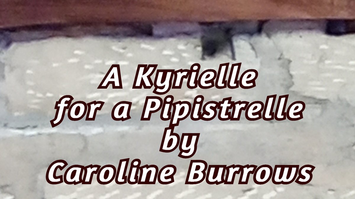 VerseCycle's tweet photo. 'A Kyrielle for a Pipistrelle' This text version of the poem continues in the comments. It's about the amazing bat colony which lives at Durham Cathedral. 
 #bats #durhamcathedral #pipistrelle #batcolony #kyrielle #poetry #carolineburrows #versecycle
@durhamcathedral @_BCT_ https://t.co/f6bzgkk6q3