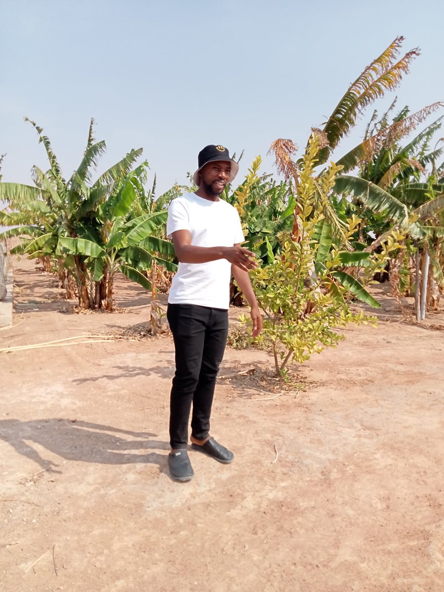 luguga_jr's tweet photo. Agriculture is far more than farming. It’s business. It’s science. It’s engineering. It’s energy. It’s information. It’s health care. It’s technology🍓🍒🍎🍊🍍 https://t.co/LZvpZJOMgC
