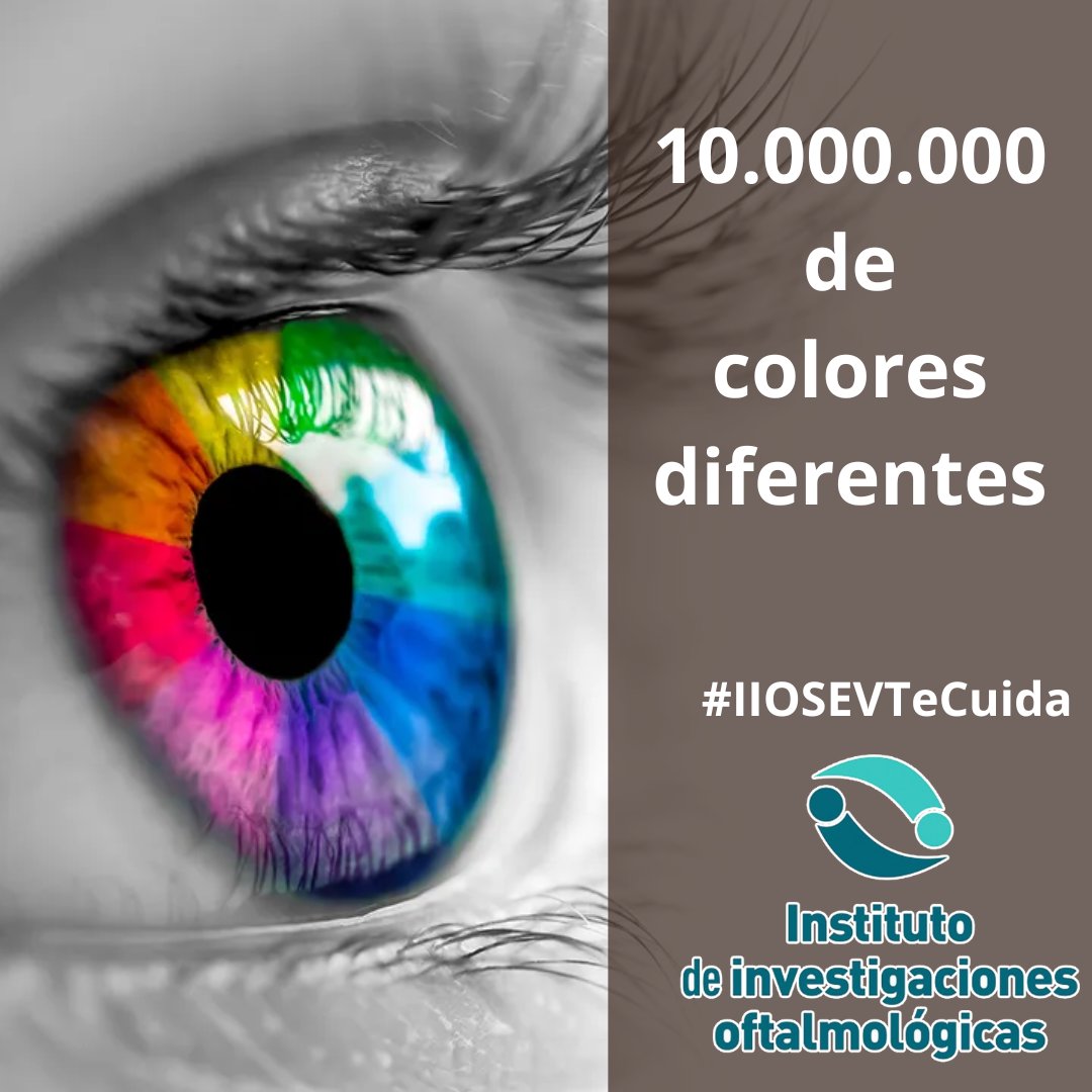 IOftalmologicas's tweet photo. 👀 ¿Sabías que el ojo humano es tan potente que puede distinguir hasta 10 millones de colores diferentes? ¡La maravilla de la visión nos permite apreciar un espectro increíblemente amplio de tonalidades y matices! 🌈🎨

#IIOSEVTeCuida https://t.co/axnVK8NizU