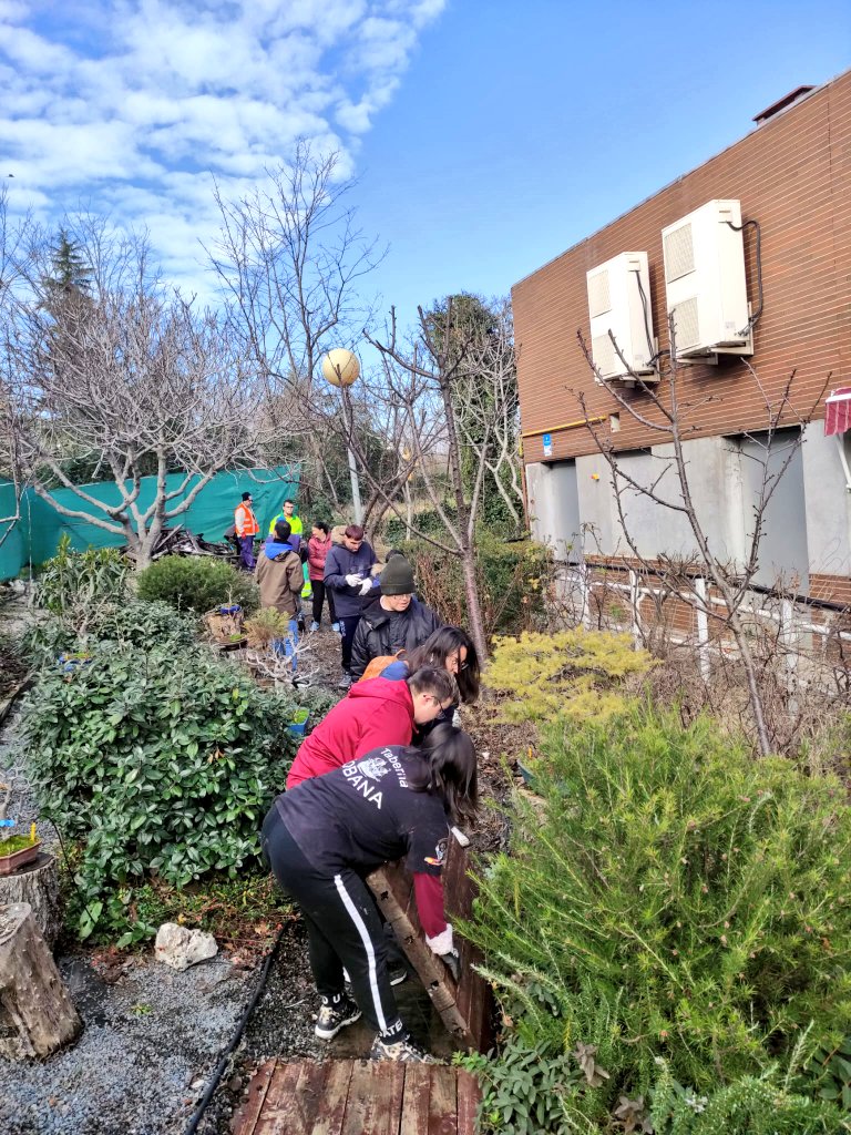 SergioAguinaga6's tweet photo. 🚨 Atención Noticia 🚨

👉🏻 🌳 @HitoProyecto #Sufragio  @AytoLeganes  @GrupoAMAS nuestro proyecto de formación, muestra y venta #bonsáis inclusivos se une a @CentroPinos 👌

🗓️ Los viernes realizaremos juntos formación , visitas  o trabajo conjunto.

#JuntosSomosMásFuertes ➕ https://t.co/QlaNZLN1M4
