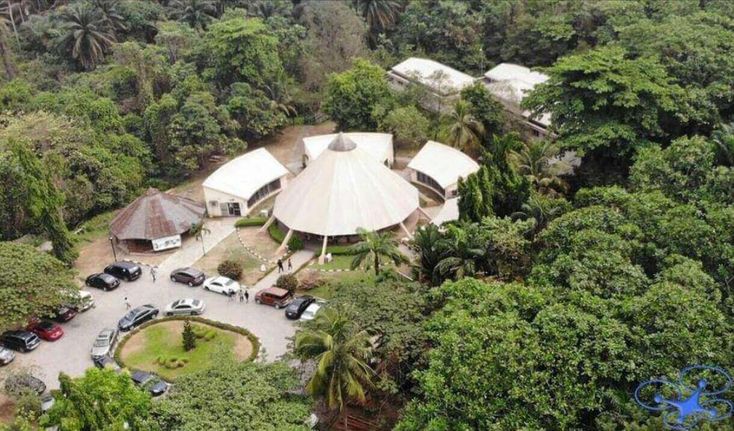 afromorphism's tweet photo. LEKKI CONSERVATION CENTER.

📍Lagos, Nigeria.
-------------------------
The center serves as a prominent symbol of biodiversity conservation and environmental education. 

It was constructed as a protected sanctuary to preserve the diverse flora and fauna of the Lekki Peninsula. https://t.co/UDHjmU73LQ