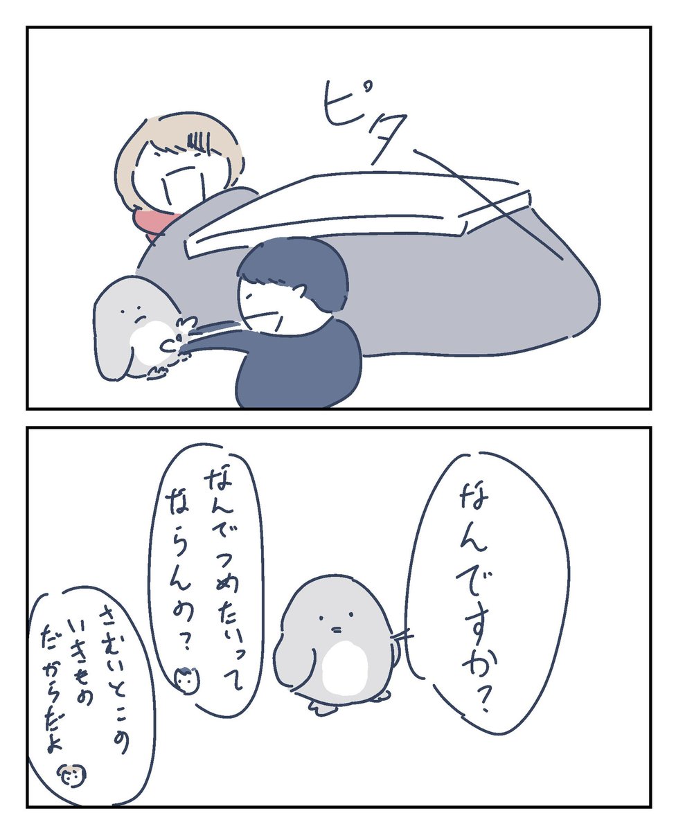 寒いとこのいきもの