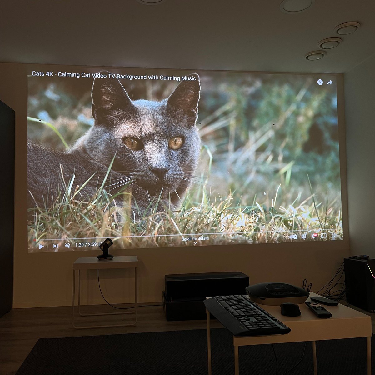 PlayablesAI's tweet photo. 👩‍💻🧑‍💻: "We really need a new screen for the office. The bigger the better!"
👩‍⚖️: "For the meetings?"
👩‍💻🧑‍💻: "Um, yeah... Sure." https://t.co/QFoNDEpHLa