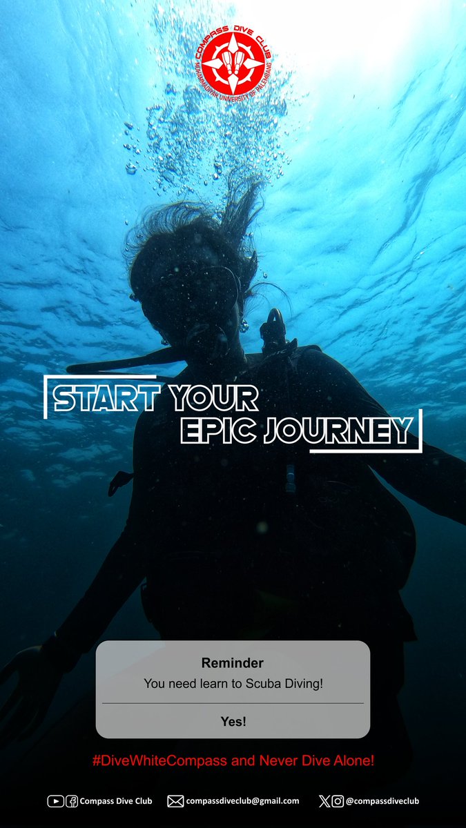 Compass Dive Club (@compassdiveclub) on Twitter photo 