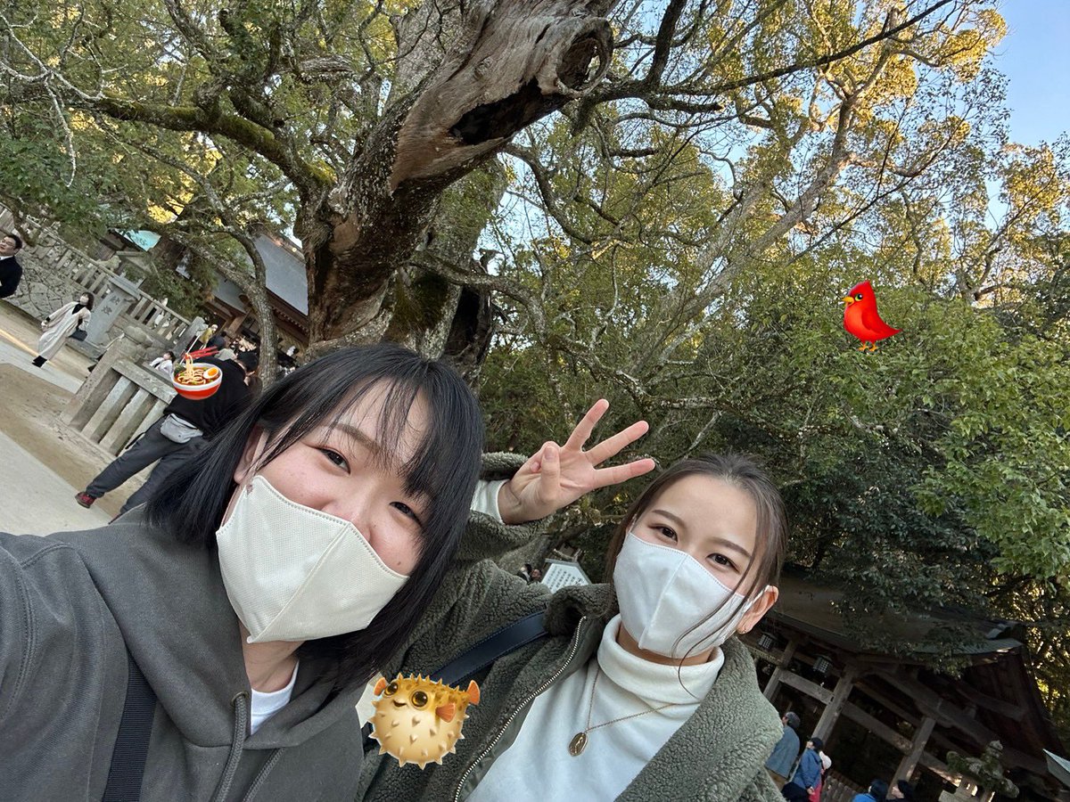 mnhr___p's tweet photo. 令和６年！
本年もよろしくお願いします👻���� https://t.co/IfX5X26QGI