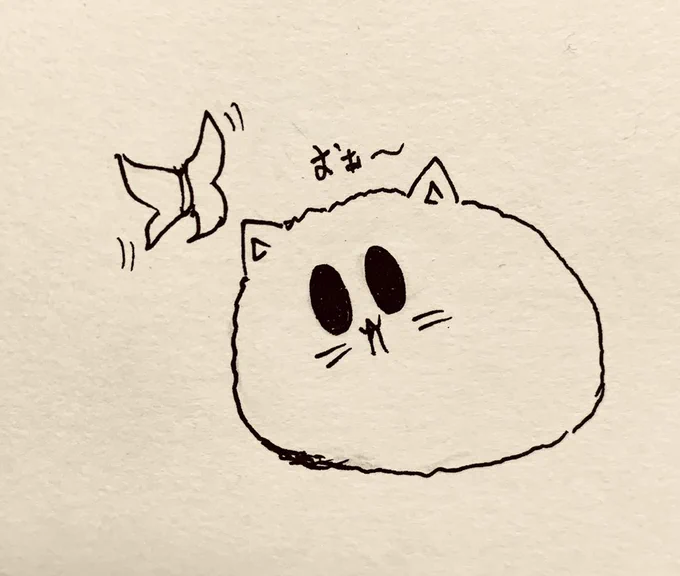 家帰ってからずっとこんな感じ