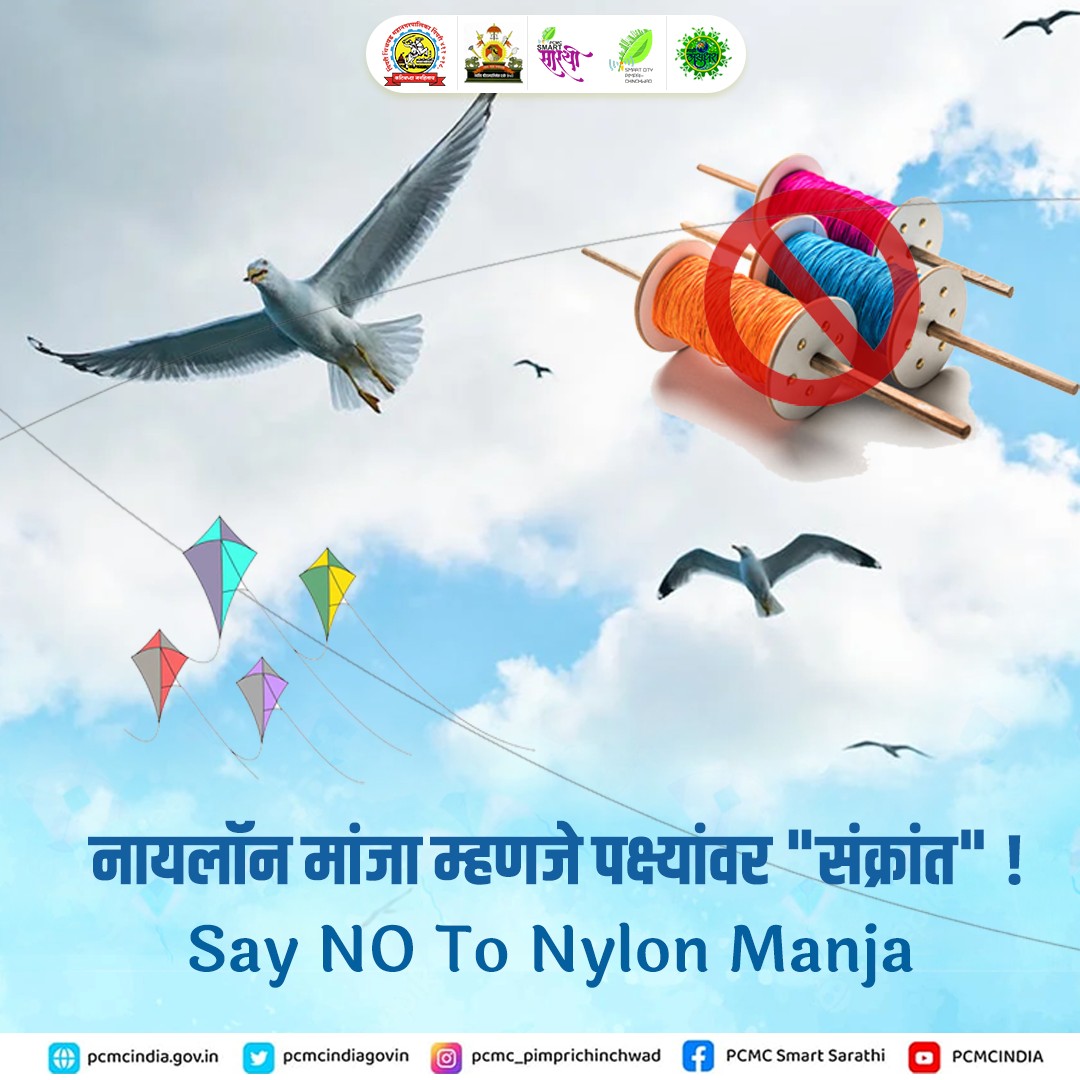 PCMCSarathi's tweet photo. पक्ष्यांसाठी हा सण किंक्रांत होऊ नये!

पक्ष्यांना इजा होऊ नये यादृष्टीने पतंगबाजी करा. त्यांना आपली पतंगबाजी दहशत वाटू नये म्हणून प्रयत्न असू द्या.

#SafeKiting #SaveBirds #SayNoToNylon #PCMCSmartSarathi #updates #awarness https://t.co/jm2id227SC