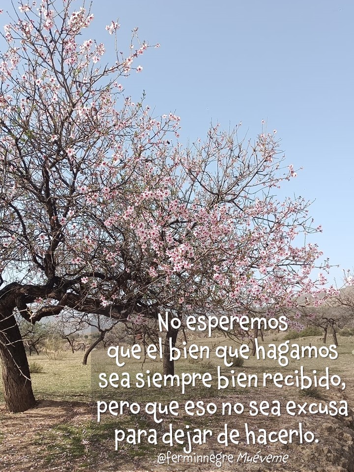 ferminnegre tweet picture