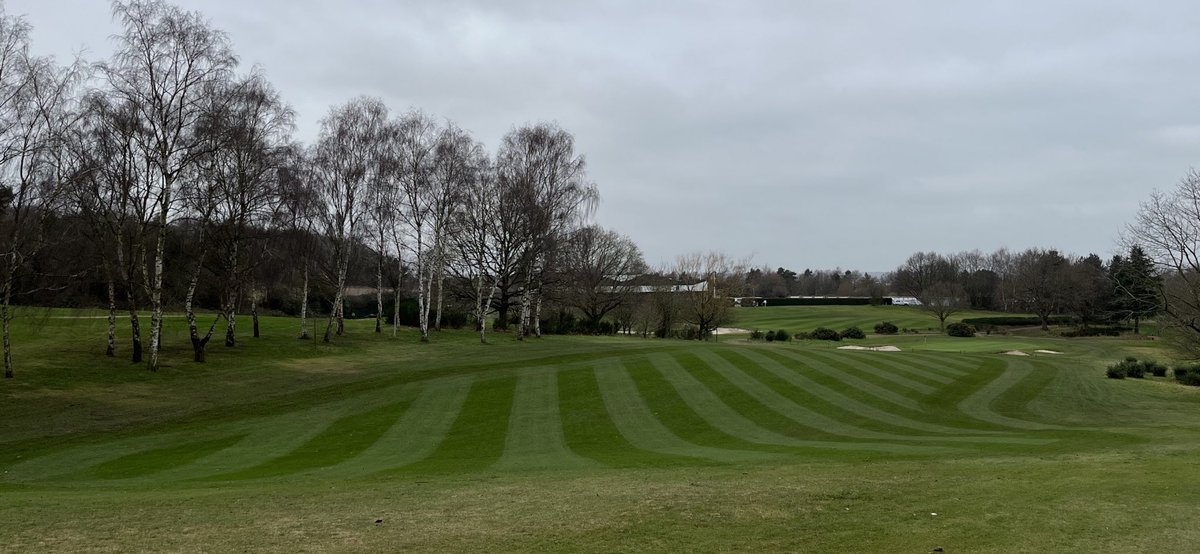 sam wardill tweet media