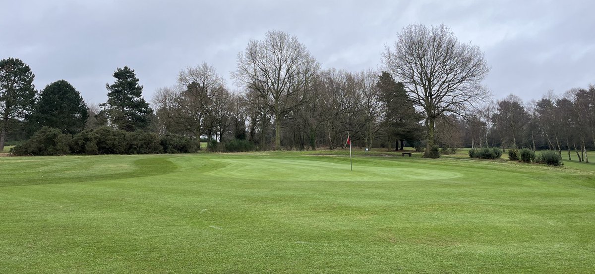 sam wardill tweet media