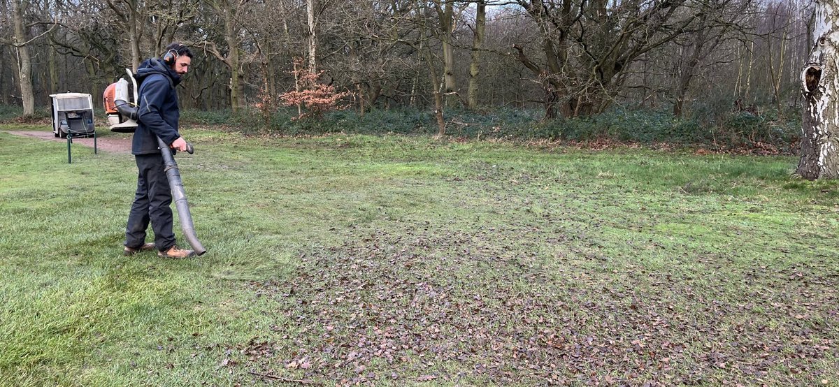 sam wardill tweet media