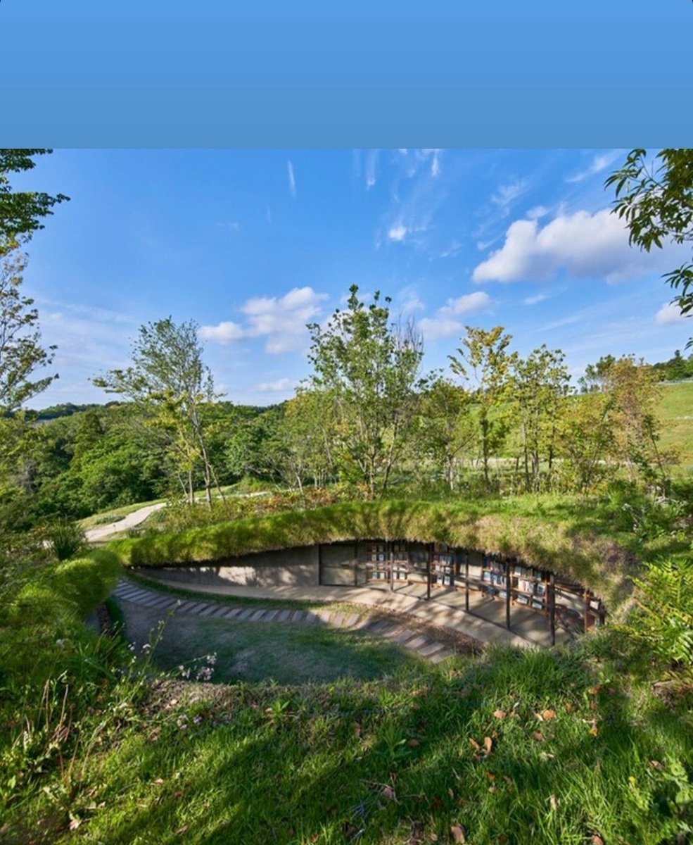 Kocaeli'de yeni açılacak olan orman yeşil alan park bölgesine böyle bir şey inşaa edilse keşke. 🙏🏻    <a href="/kocaelibld/">Kocaeli Büyükşehir</a> <a href="/tahirbuyukakin/">Tahir Büyükakın</a>