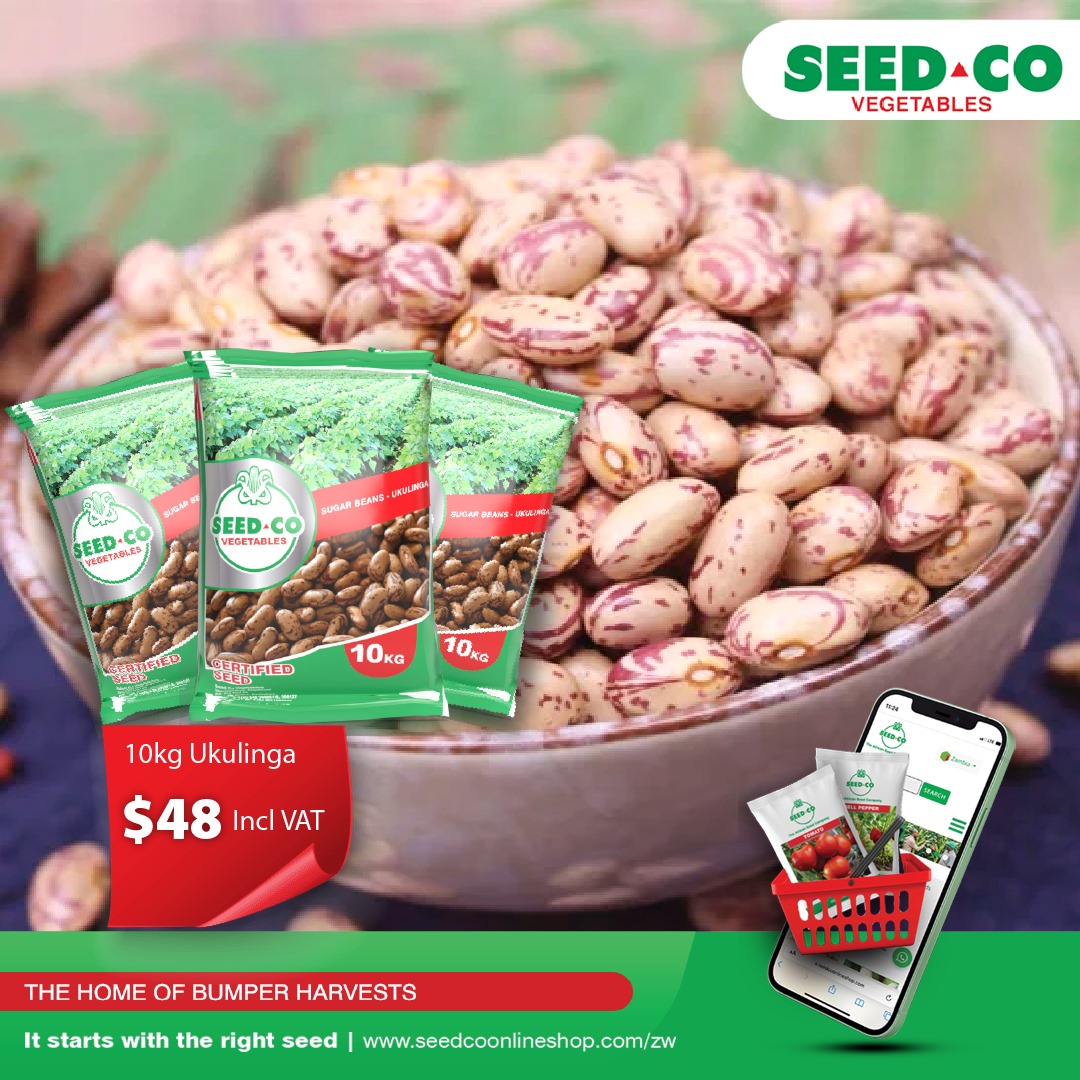 Seed Co Vegetables Zim tweet media