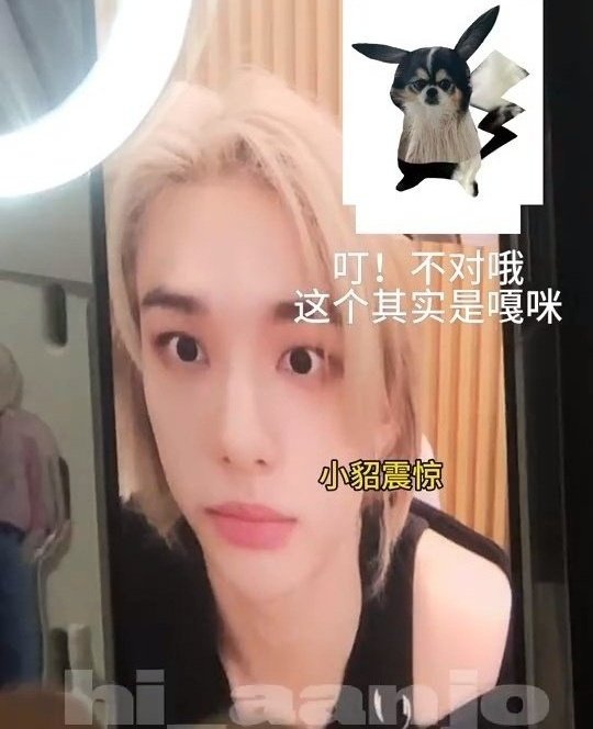 ssomi_SKZlove's tweet photo. 현진이 영통하다 놀랫을때 ㅋㅋㅋㅋㅋㅋ https://t.co/erFcO8iijv