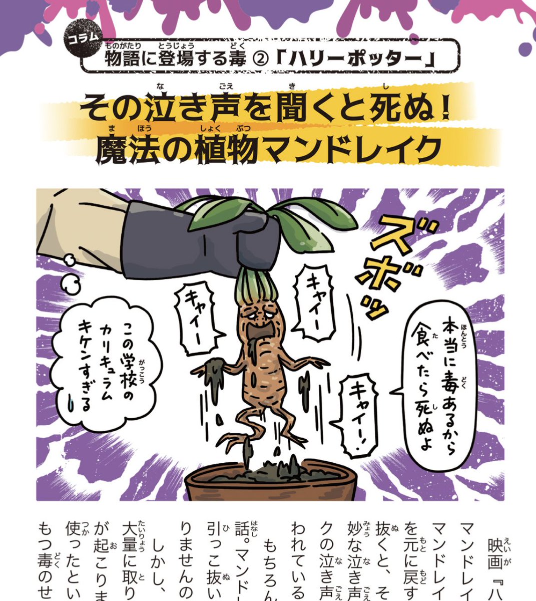 ハリポタでもお馴染みマンドレイク(マンドラゴラ)も載ってる『すごい毒の生きもの図鑑』    好評発売中です。  #すごい毒の生きもの図鑑