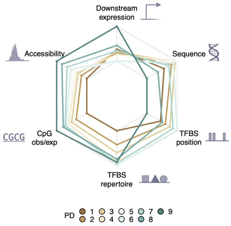 Enard/Hellmann Lab tweet media