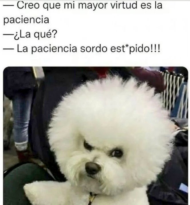 saenz_geo's tweet photo. #MeRevienta la gente que no tiene paciencia 😡 https://t.co/yc4TOxD06t