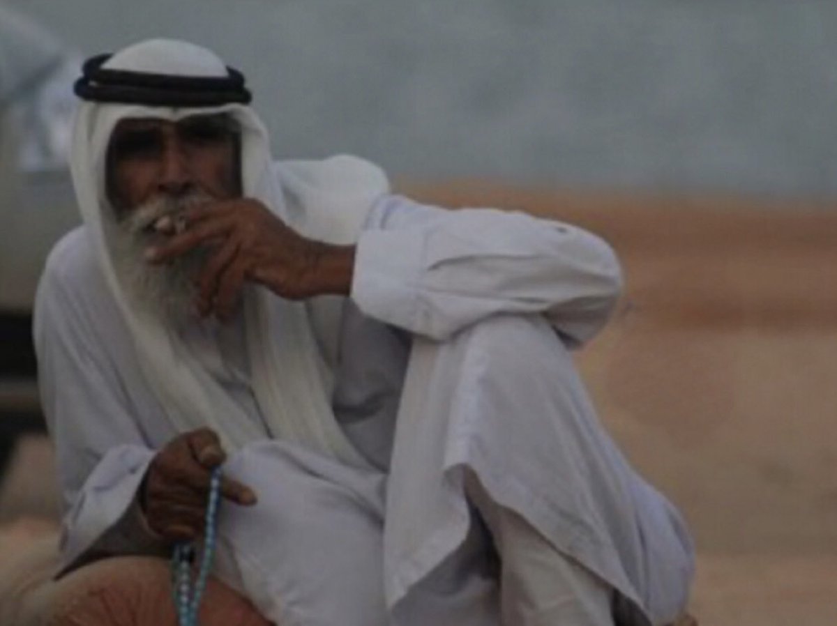 اليامي . tweet media