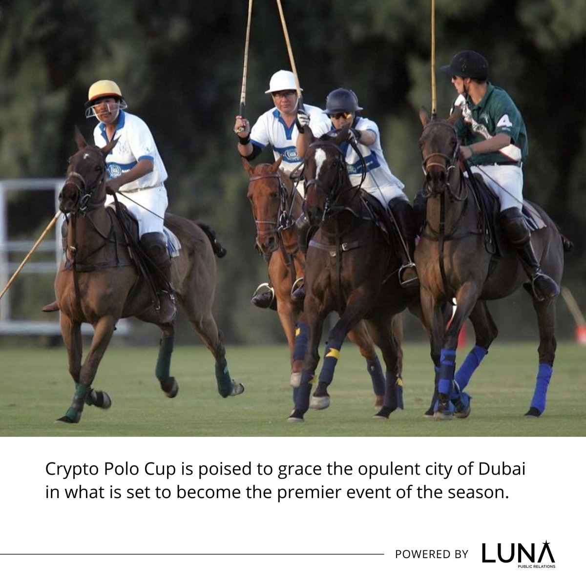 Crypto Polo Cup tweet media