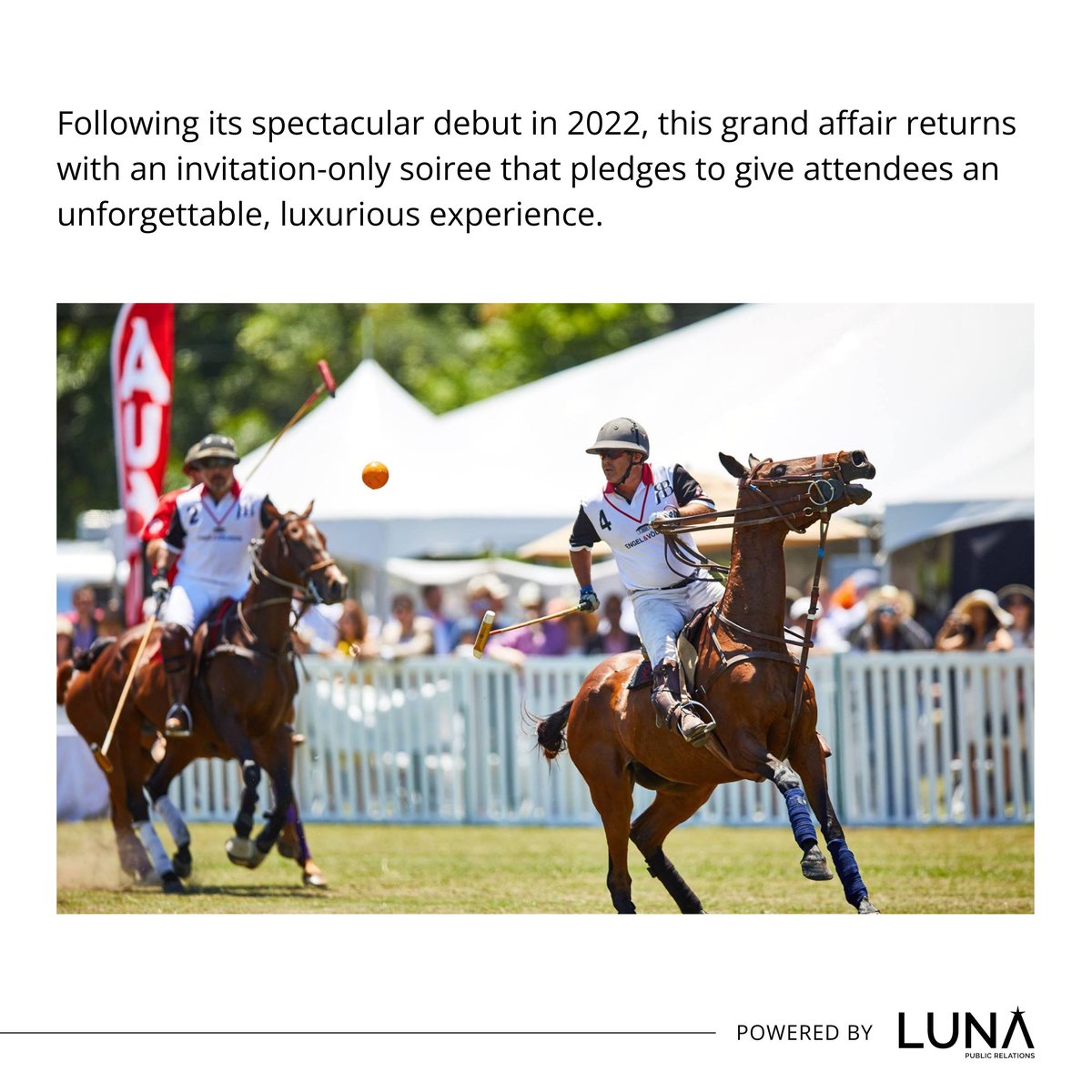 Crypto Polo Cup tweet media