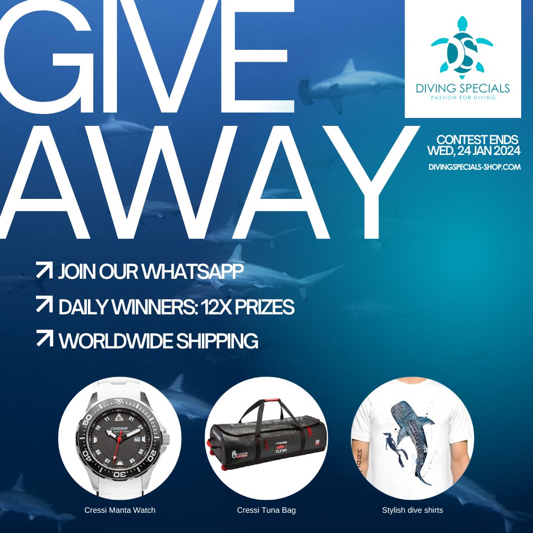 🔥 JOIN OUR WHATSAPP TODAY🔥 
TO GET AMAZING PRIZES!
12 winners within the next 12 days starting TODAY. Send START to: wa.me/message/IQSBTO… to get all updates - every day at 17.00 CET we announce the prize of the day.
#giveaway #whatsapp #WINNER #everyday