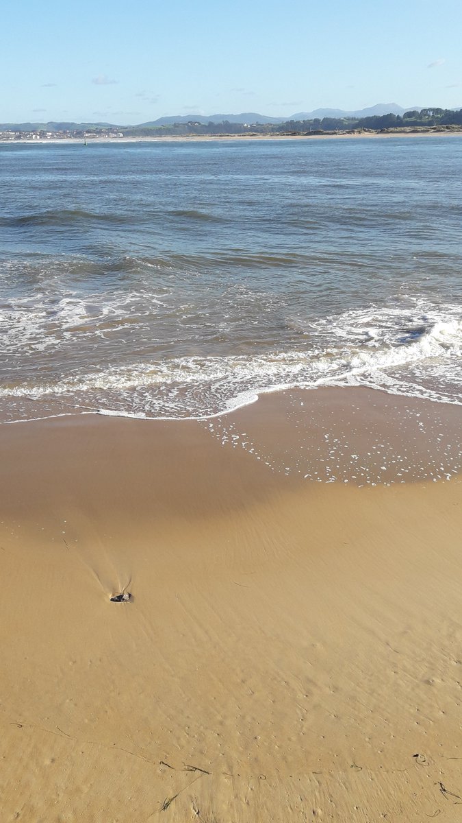 Apez140's tweet photo. #Momentos
De #Olas que mueren en la #Orilla de la #Playa de la #Fenómeno, #PuntaDeSanMartin, #LaBahíaDeSantander...🧚♂️😎
#Cantabria #NorthernSpain #Magia y #Belleza #Inmensas #TourismSpain🇪🇦 https://t.co/YhNxObDLdK