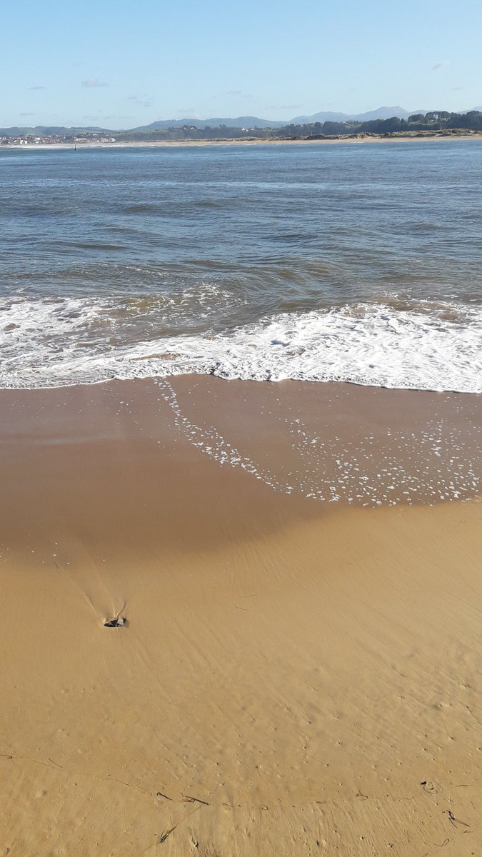Apez140's tweet photo. #Momentos
De #Olas que mueren en la #Orilla de la #Playa de la #Fenómeno, #PuntaDeSanMartin, #LaBahíaDeSantander...🧚♂️😎
#Cantabria #NorthernSpain #Magia y #Belleza #Inmensas #TourismSpain🇪🇦 https://t.co/YhNxObDLdK
