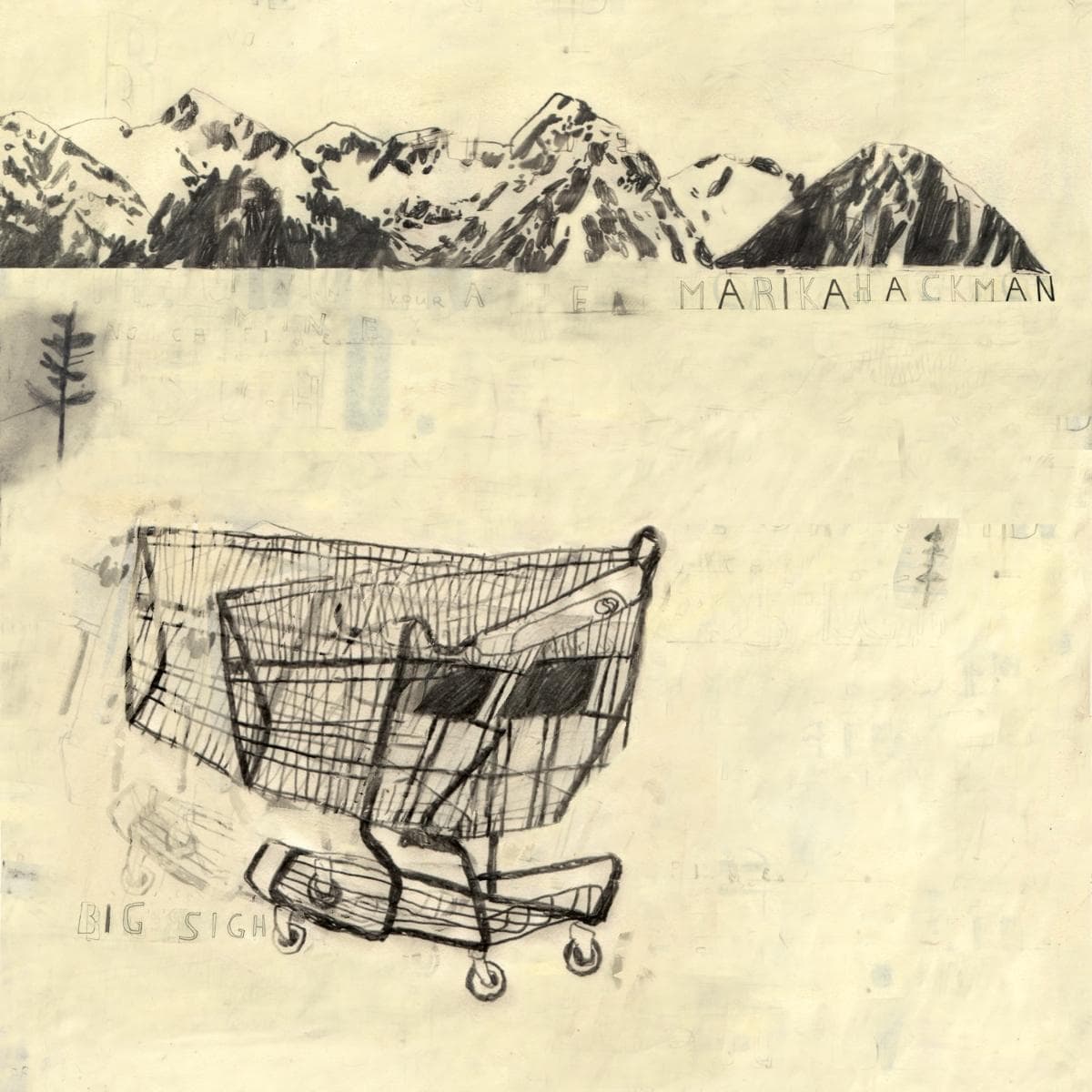 Norman Records tweet media