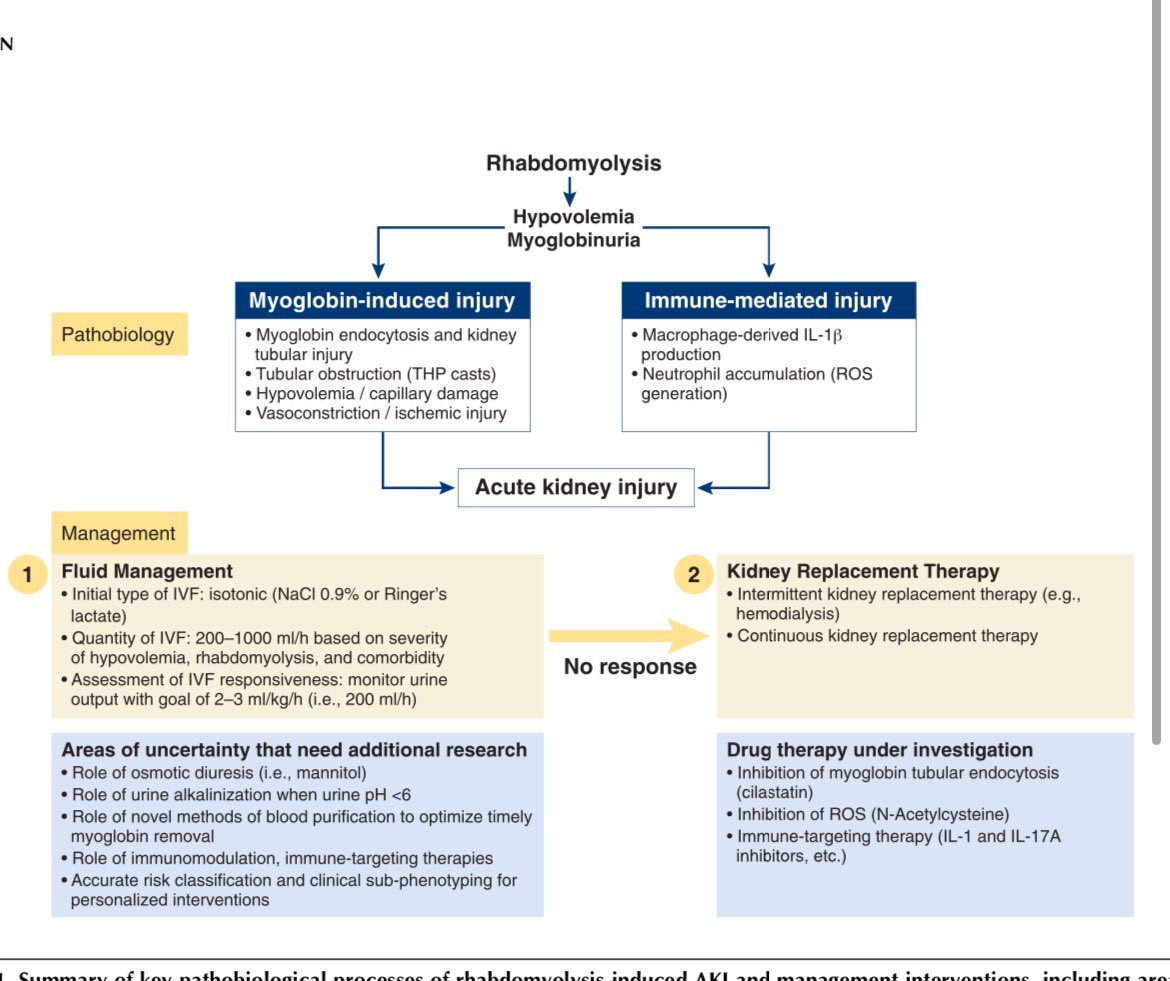 🔥How to treat Rhabdomyolysis AKI

✅IV fluid-200-1000 ml/hr➡️goal UO of 200ml/hr 

✅Continue till CK level<5000 U/L

➡️Biphasic Calcium-Initial hypocalcemia➡️Ca deposits in necrotic muscle

🔥Later hyperCa-Ca release from 💪in polyuric phase 

@CJASN 

journals.lww.com/cjasn/fulltext…