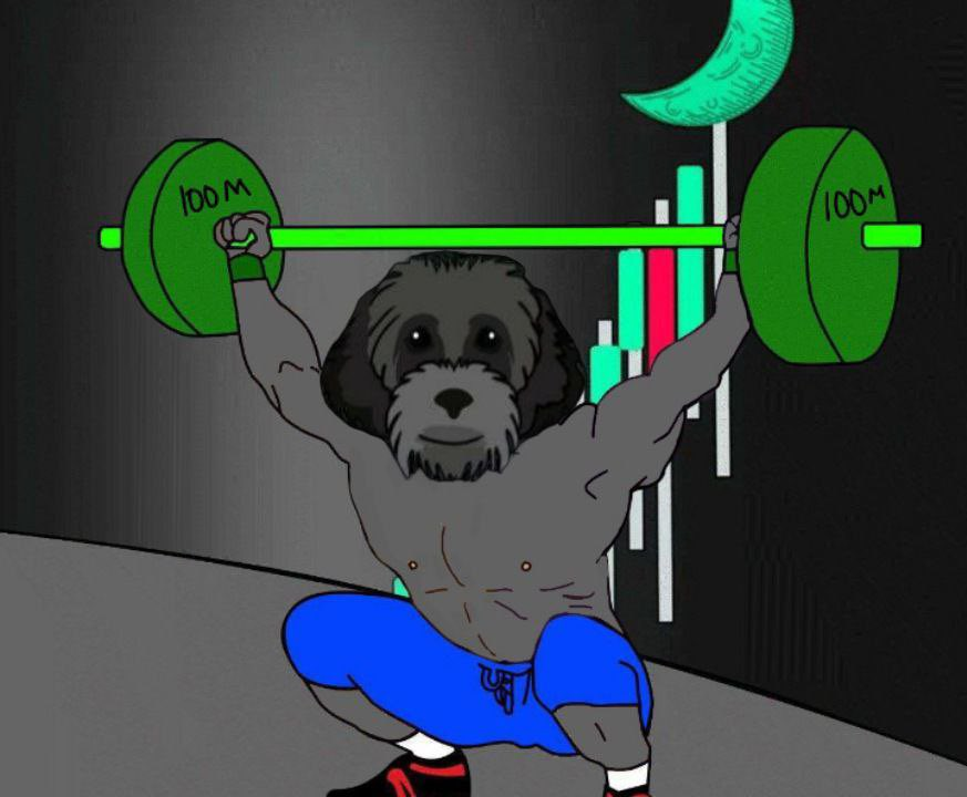 MiniMyroeth's tweet photo. The Most Adorable ETH Puppy!🚀🟢
#Ethererum  #BTC https://t.co/f1hGDJMSMp