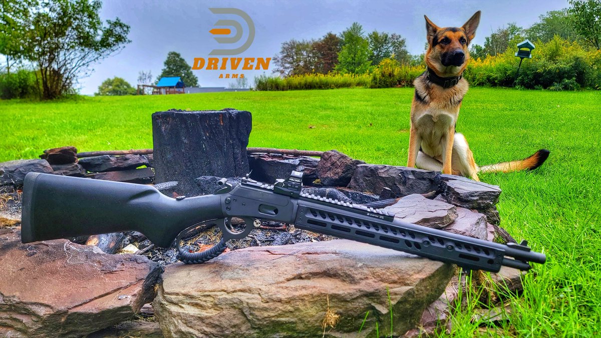 Driven Arms (@DrivenArms) / Posts / X