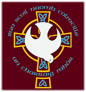 St Colmcille’s PS, Carrickmore tweet media