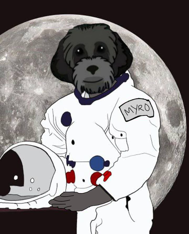 MiniMyroeth's tweet photo. Myro is ready to go to the moon🚀🟢
#Ethererum #BTC https://t.co/i14hI8qDOV