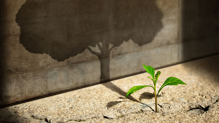 Kickstart 2024 with passion &amp; purpose! Check out our journaling blog 📖✍️ ... get ready to reflect, set goals, and cultivate a year of growth! 🌱 🔗 bit.ly/48PYUO3

#businessgrowth #marketing #marketingagency #marketingcommunications #marketingstrategy #marketingplanning