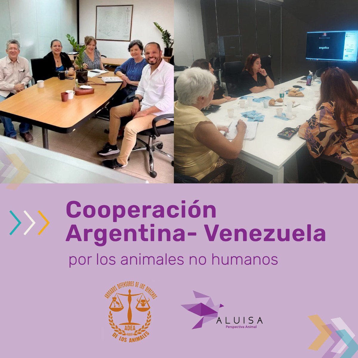 Estamos trabajando en equipo con #Adea para llevar soluciones en simultáneo en nuestras ciudades <a href="/gcba/">Buenos Aires Ciudad</a> #Argentina y #Caracas #Venezuela para los animales no humanos