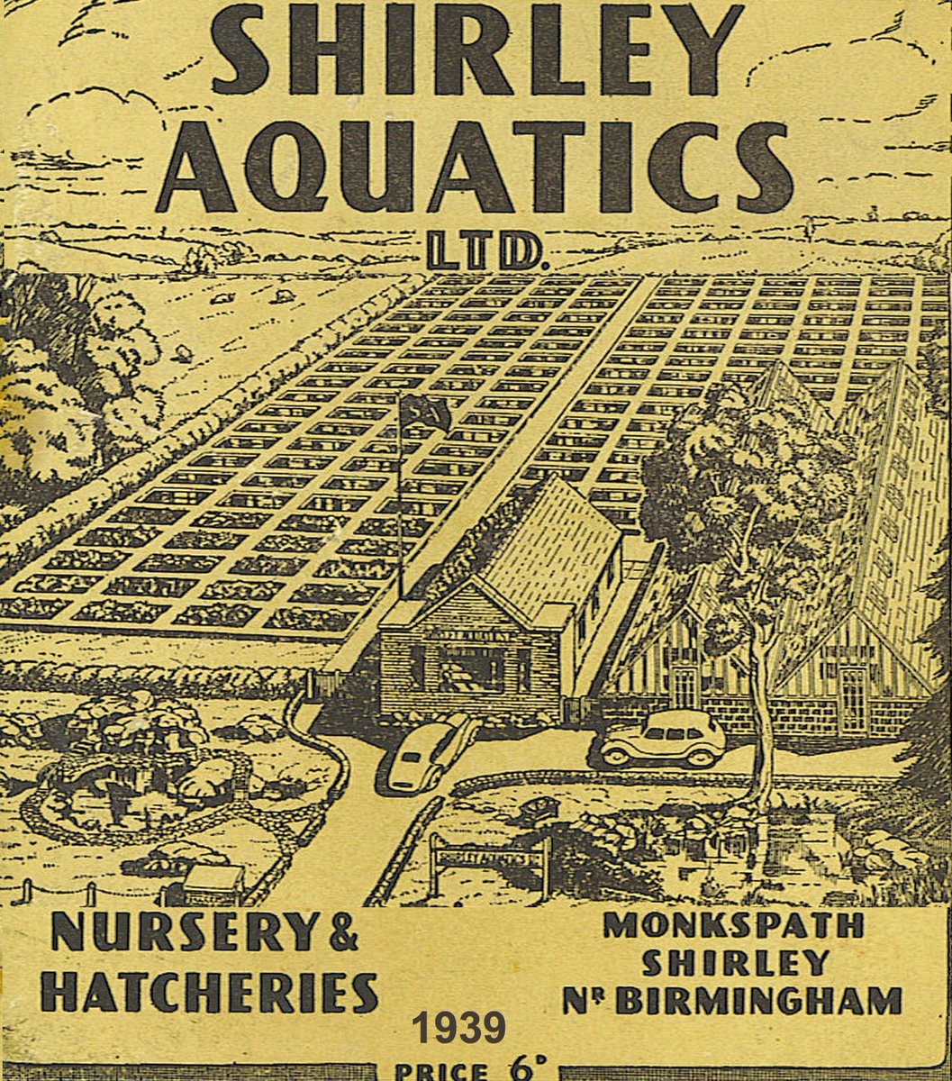 This is the very first catalogue cover for Shirley Aquatics published in 1939, just a tad before the internet was born!😂 85 years and still going strong!

#shirleyaquatics #birthday