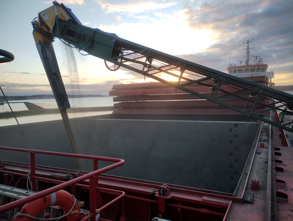 Cefetra's tweet photo. We loaded 3,100T of locally grown Laureate Malting Barley onto the Bothnia Fin in Poole earlier this week. The ship is bound for Northern Europe. 

It was great to do this under dry clear blue skies!!! https://t.co/MMfHR81iFr