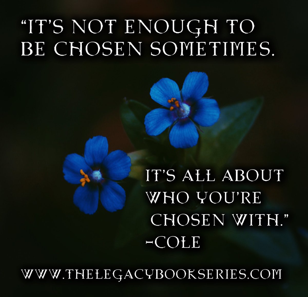 thelegacybookseries.com

#TheLegacy #BookSeries #DystopianFiction #YoungAdultBooks #IndieAuthor #SelfPublished #WritingCommunity #ThePreparations #ColeQuote #BookQuote #EpicQuote #Myra #Cole #NotEnough #NeverEnough #Chosen #TheChosen #TheLegacyBookSeries #ReadingCommunity