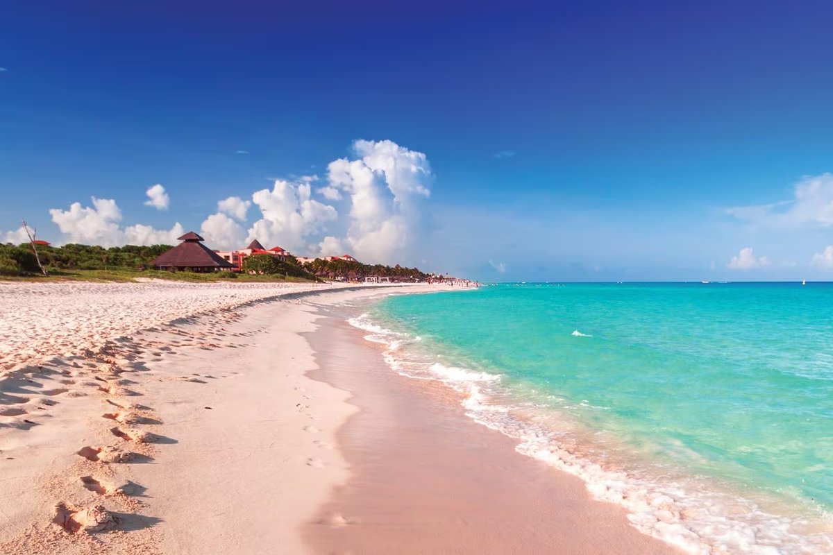 VivoEnPlayaDC's tweet photo. 🧵🌴Hilo de NUEVE increíbles playas con certificación Blue Flag en #PlayaDelCarmen con su respectiva ubicación. https://t.co/loXGLNEf5k