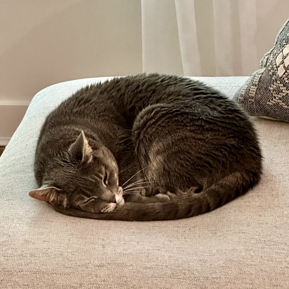 jdjdesign's tweet photo. @the_tweedy Perfect loaf. 🍞 https://t.co/0LqLiKbgqH