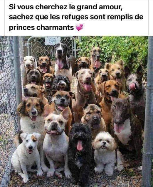 AdeaClaude's tweet image. 