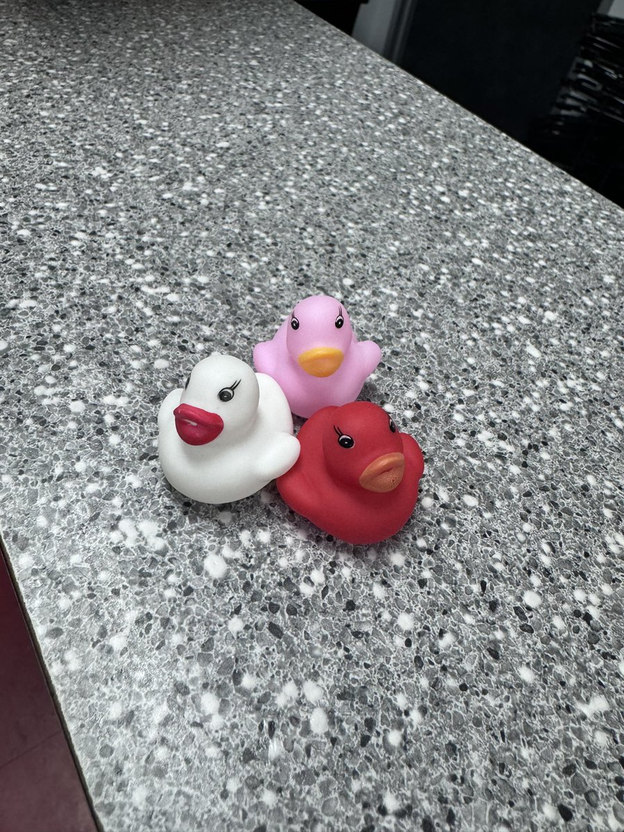 There is a “MAJOR” game Generals want to play….Duck Duck Sis🐤!!! Find a duck and all day long you’ll have good luck!! Post a picture #duckducksis