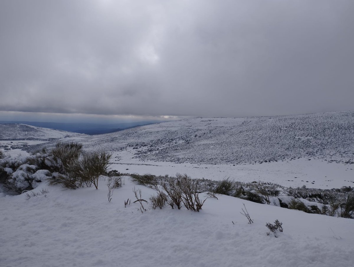 Zamora24horas's tweet photo. GALERÍA DE IMÁGENES | La nieve cubre de blanco la Laguna de Peces este viernes https://t.co/l4vWdLlqME https://t.co/ixTQ14BpOp