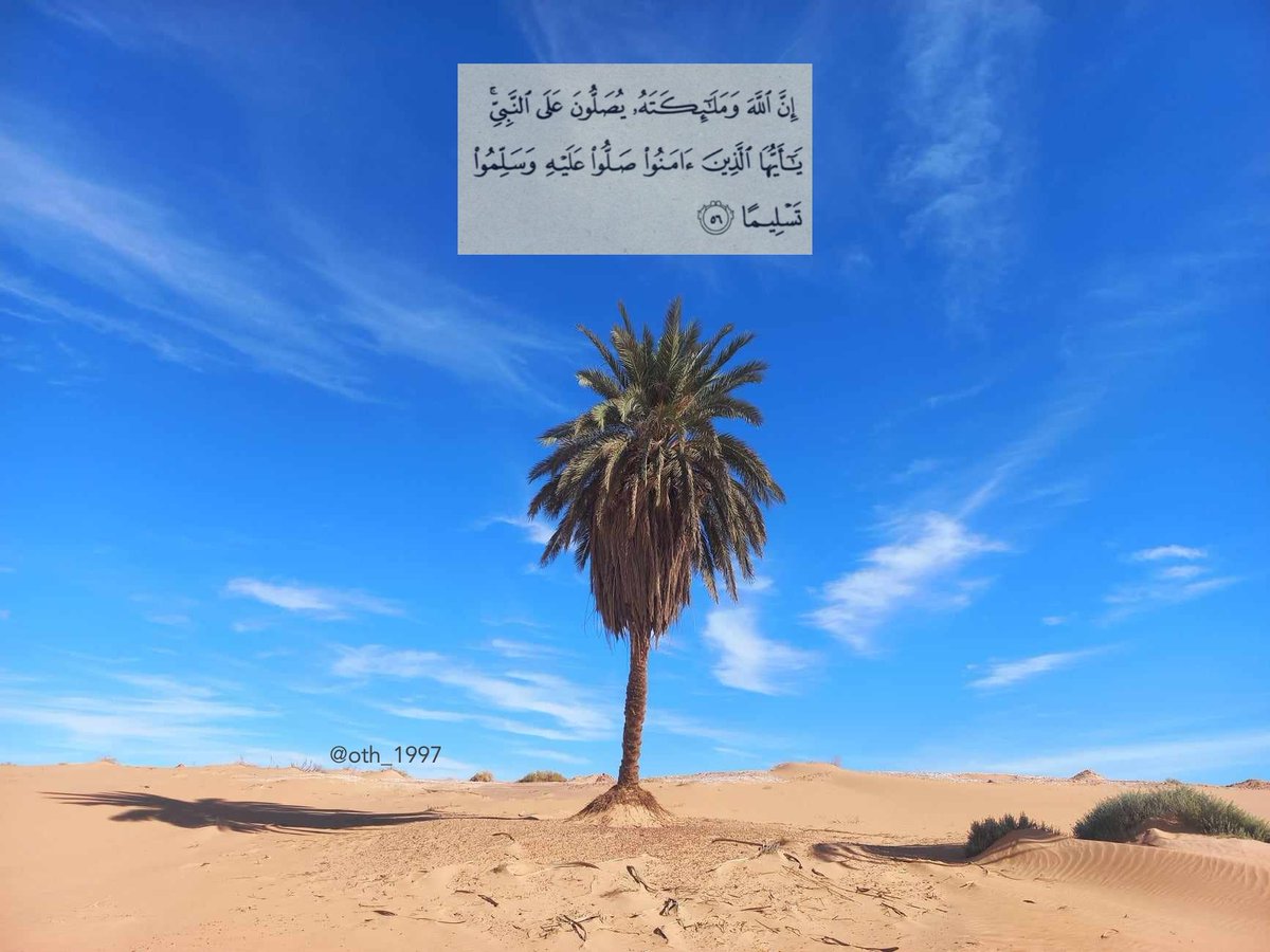 oth_1997's tweet image. جمعة مباركة ❤
•
•
•
•
•
•
•
#يوم_الجمعة #جمعة_طيبة #تصويري