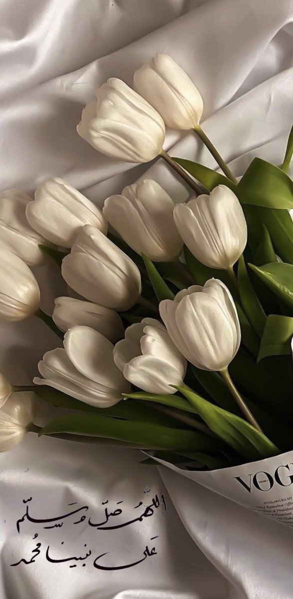 Leena_Mhammad's tweet photo. https://t.co/pqjpP9RRAn