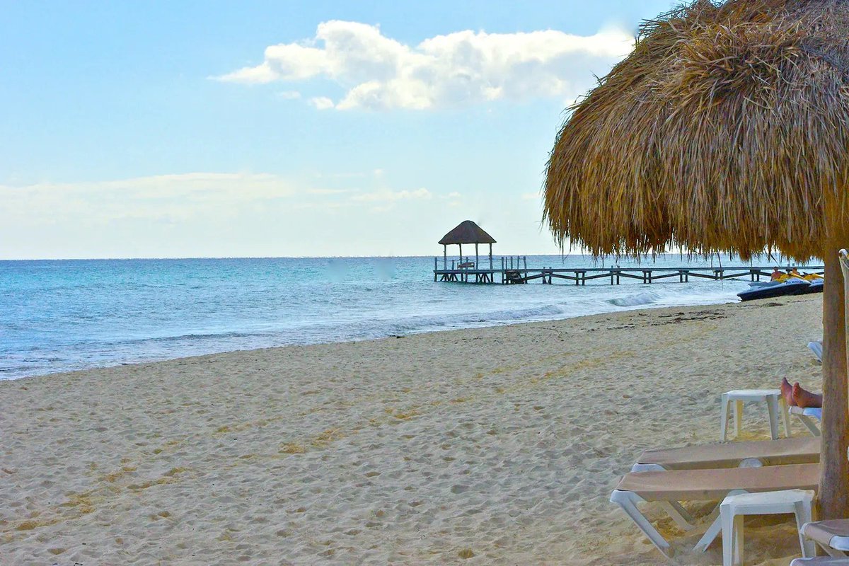 VivoEnPlayaDC's tweet photo. 🧵🌴Hilo de NUEVE increíbles playas con certificación Blue Flag en #PlayaDelCarmen con su respectiva ubicación. https://t.co/loXGLNEf5k